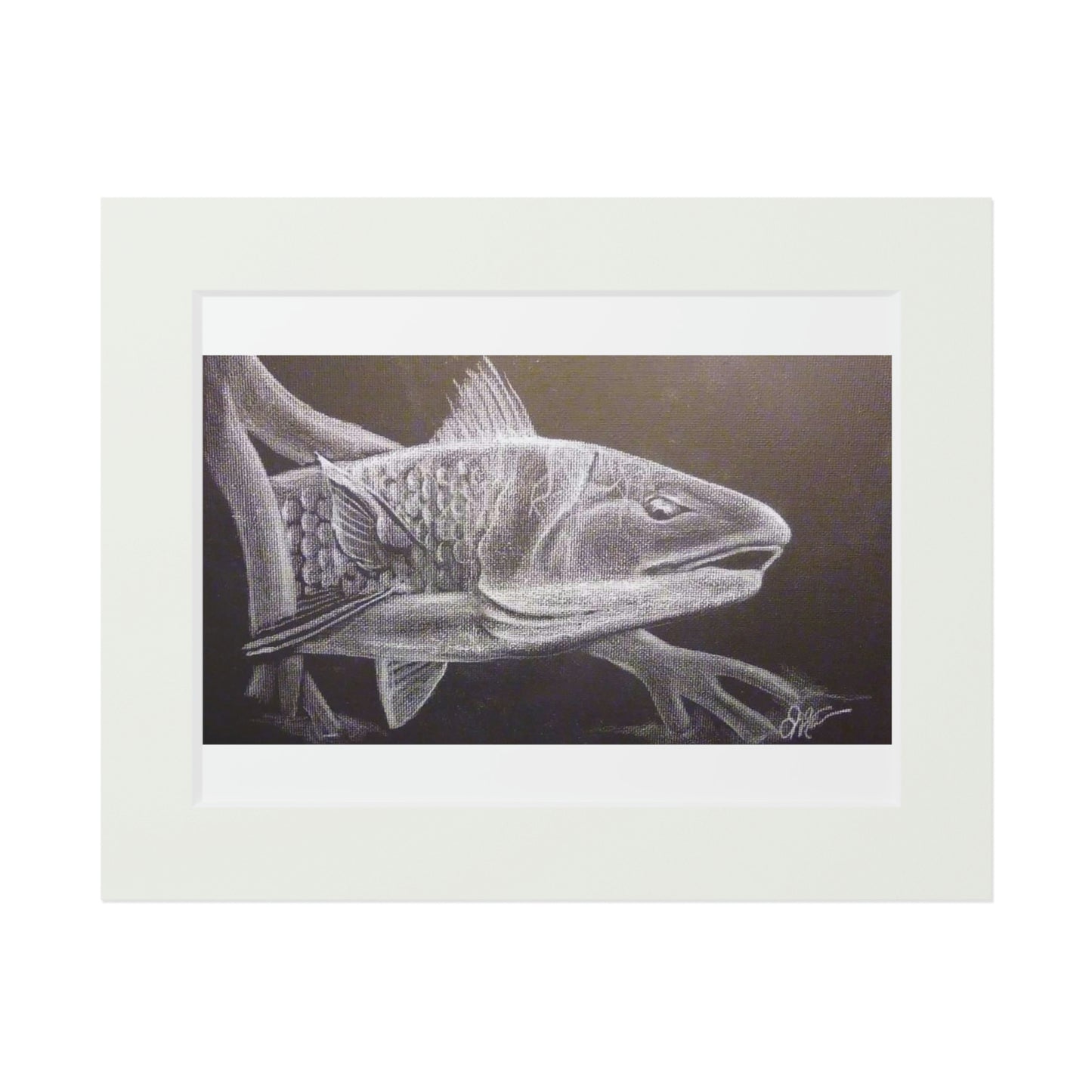 Tail Whip Redfish Fine Art Prints (Passepartout Paper Frame)