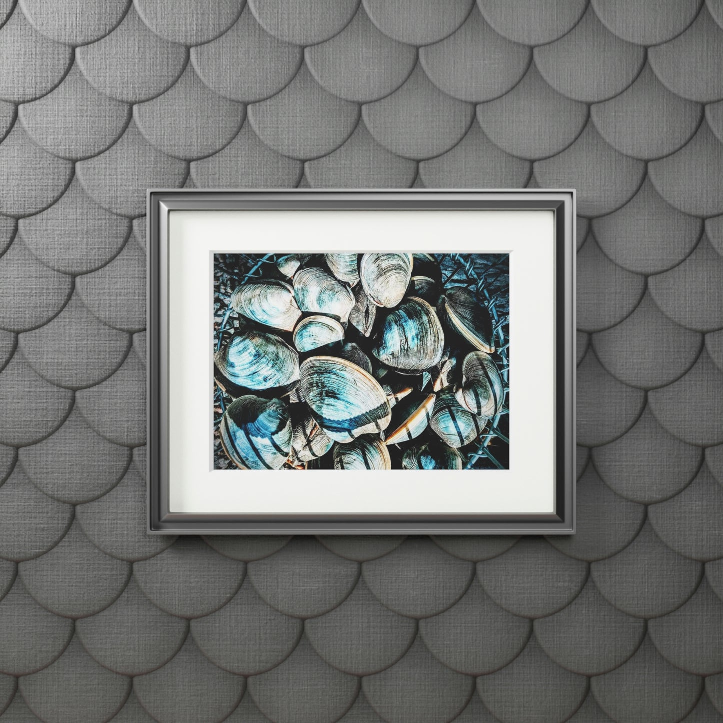 Tail-Whip Quahog Peck Fine Art Prints (Passepartout Paper Frame)