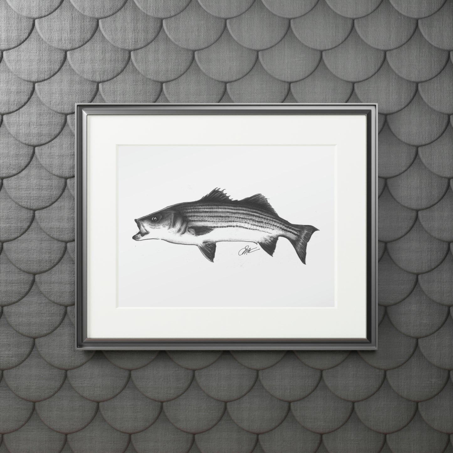 Tail-Whip Striped Bass sketch Fine Art Prints (Passepartout Paper Frame)
