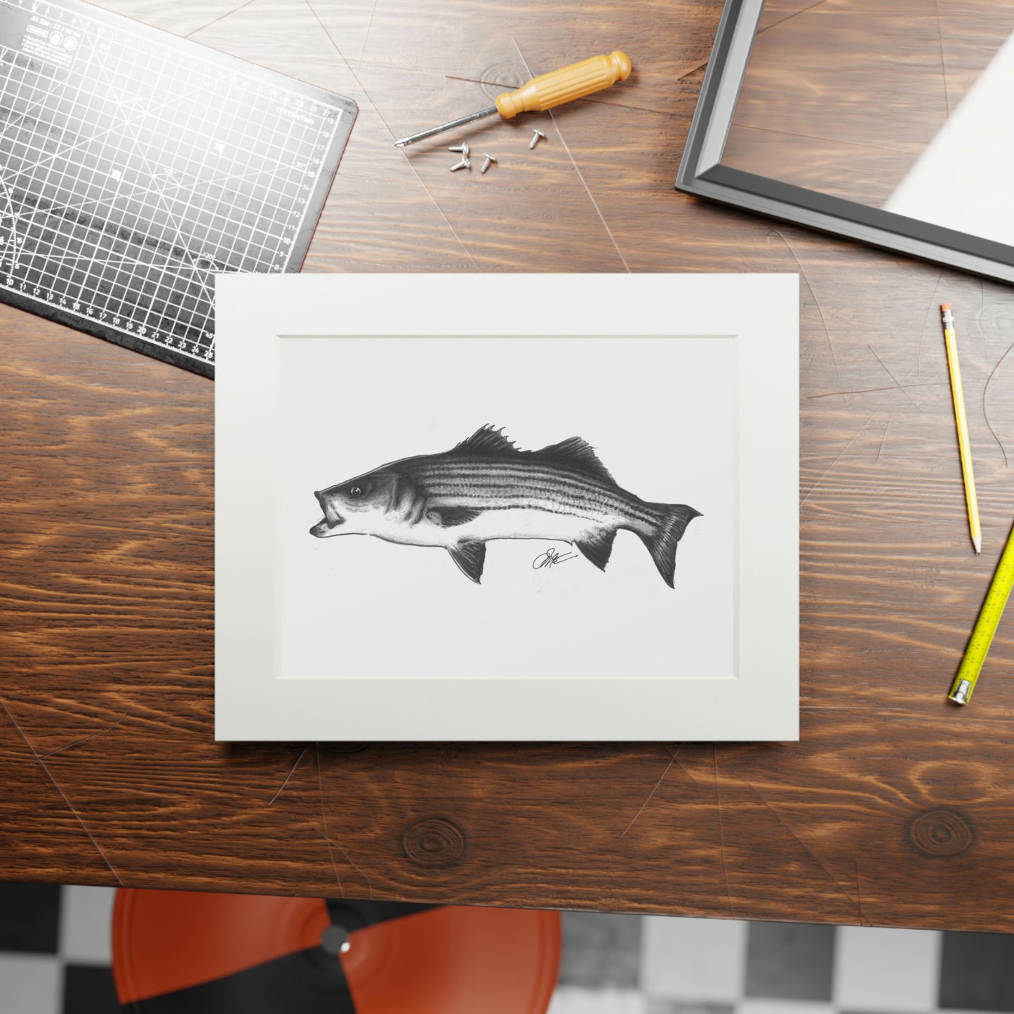 Tail-Whip Striped Bass sketch Fine Art Prints (Passepartout Paper Frame)
