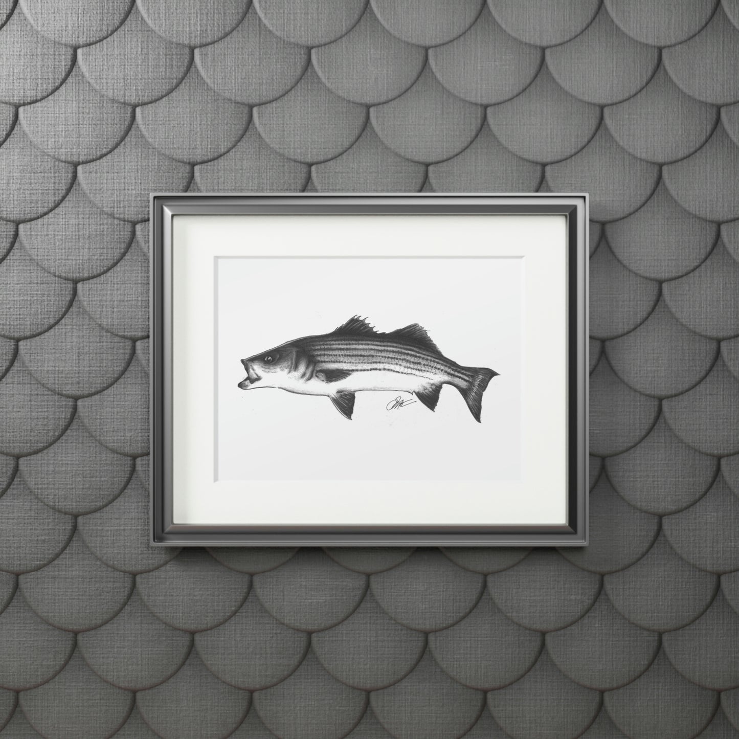 Tail-Whip Striped Bass sketch Fine Art Prints (Passepartout Paper Frame)