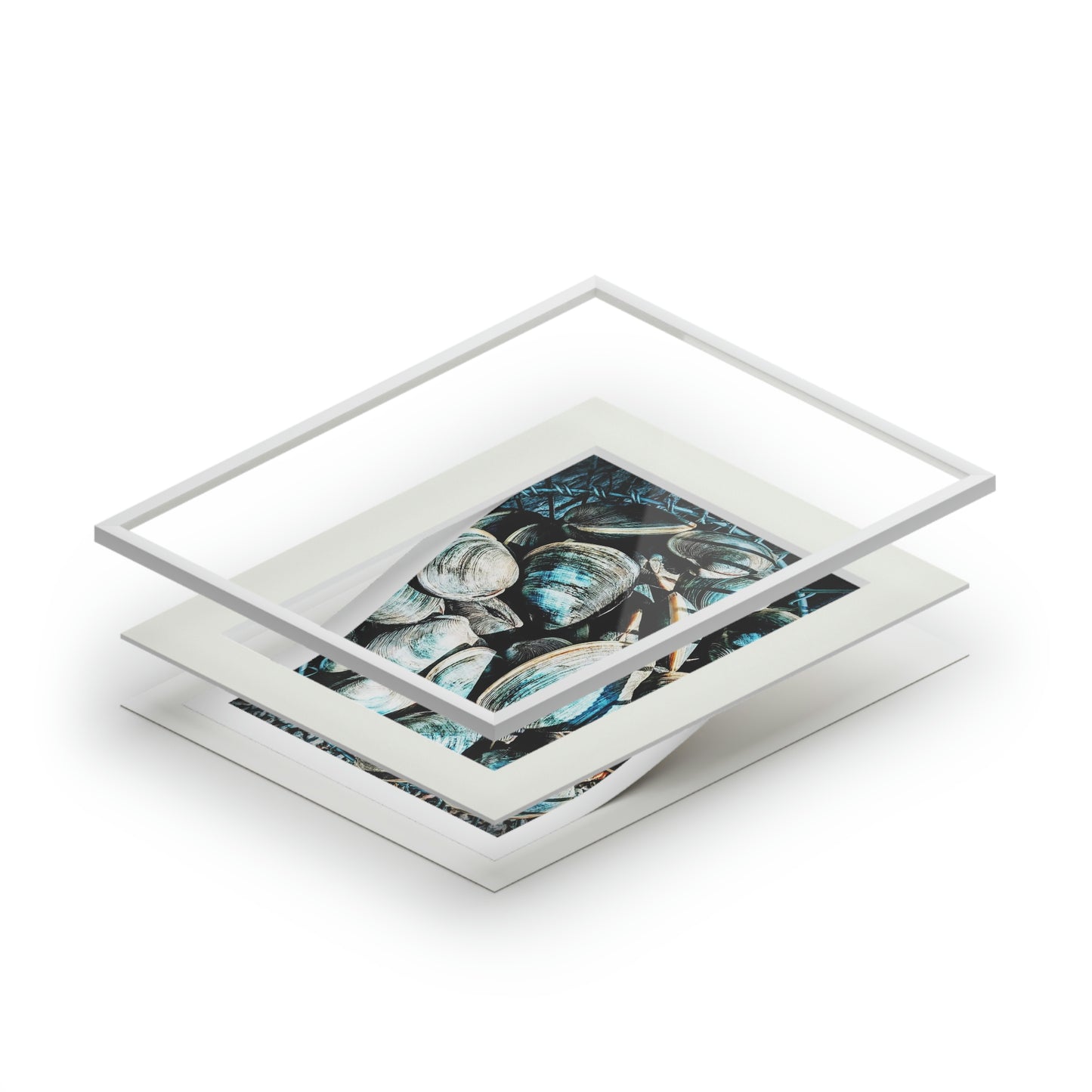 Tail-Whip Quahog Peck Fine Art Prints (Passepartout Paper Frame)