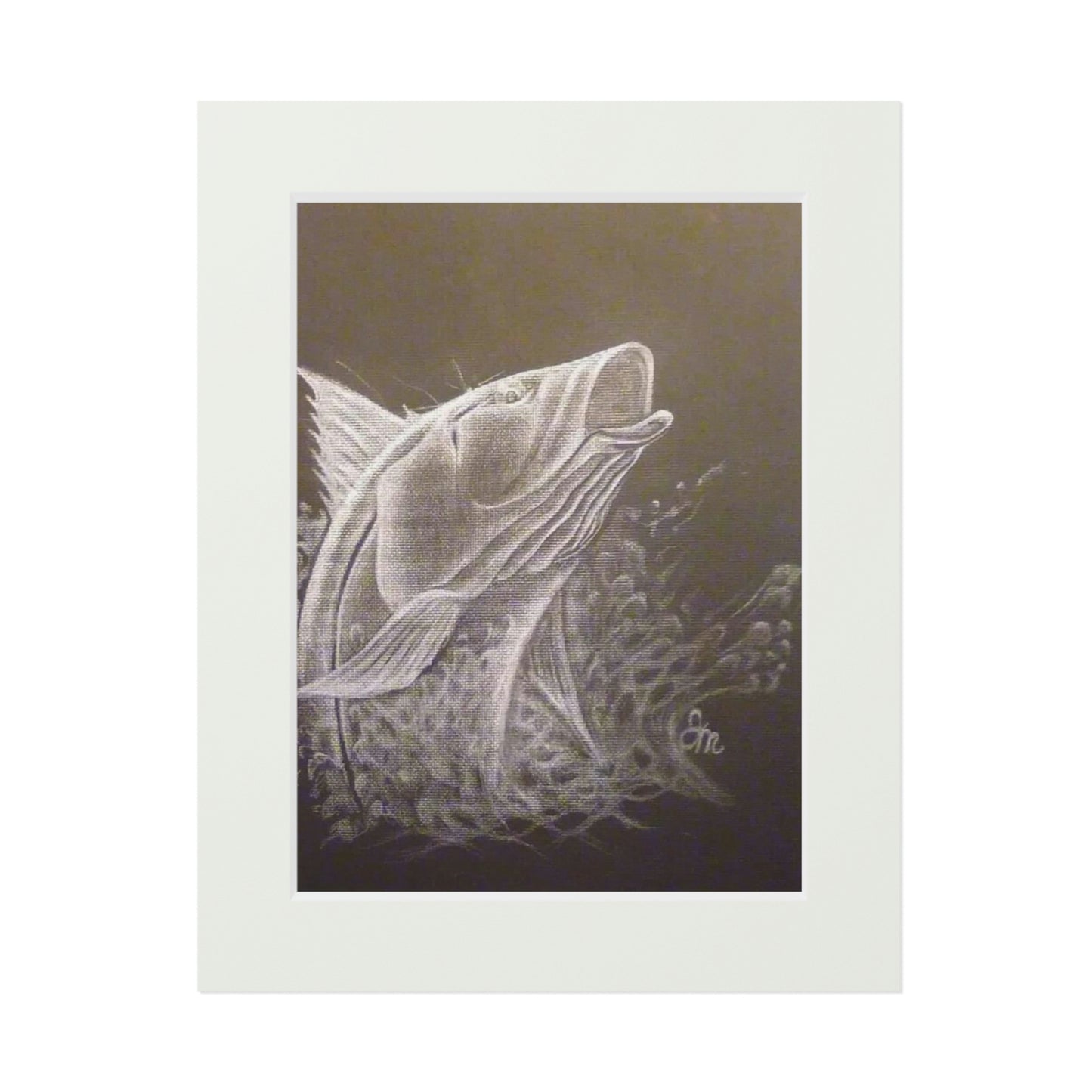 Tail-Whip Snook Attack Fine Art Prints (Passepartout Paper Frame)