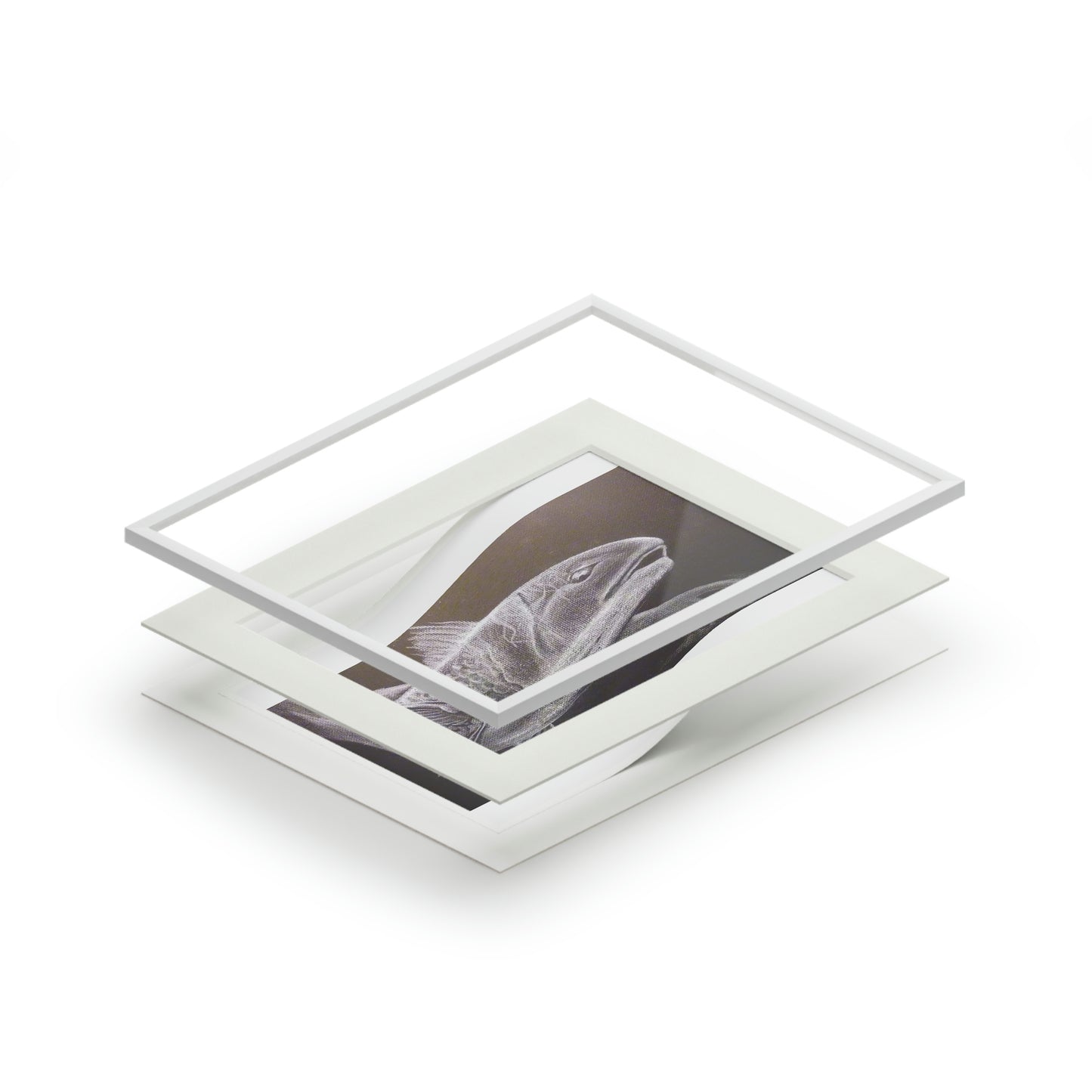 Tail Whip Redfish Fine Art Prints (Passepartout Paper Frame)