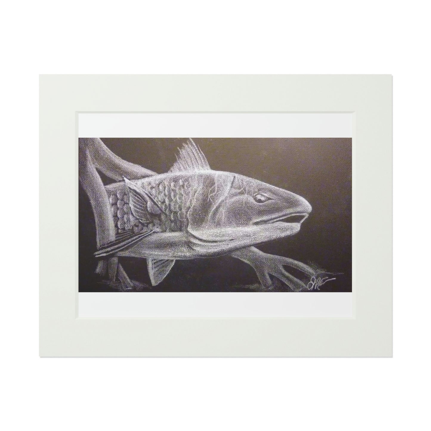 Tail Whip Redfish Fine Art Prints (Passepartout Paper Frame)