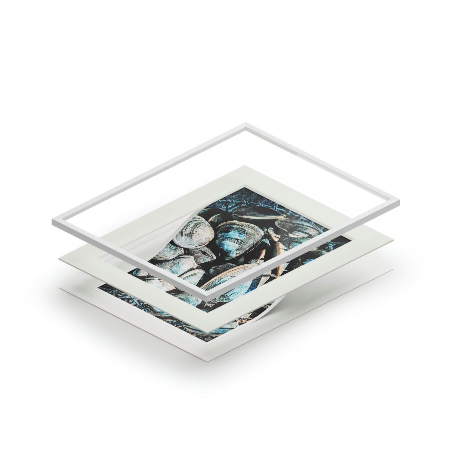 Tail-Whip Quahog Peck Fine Art Prints (Passepartout Paper Frame)