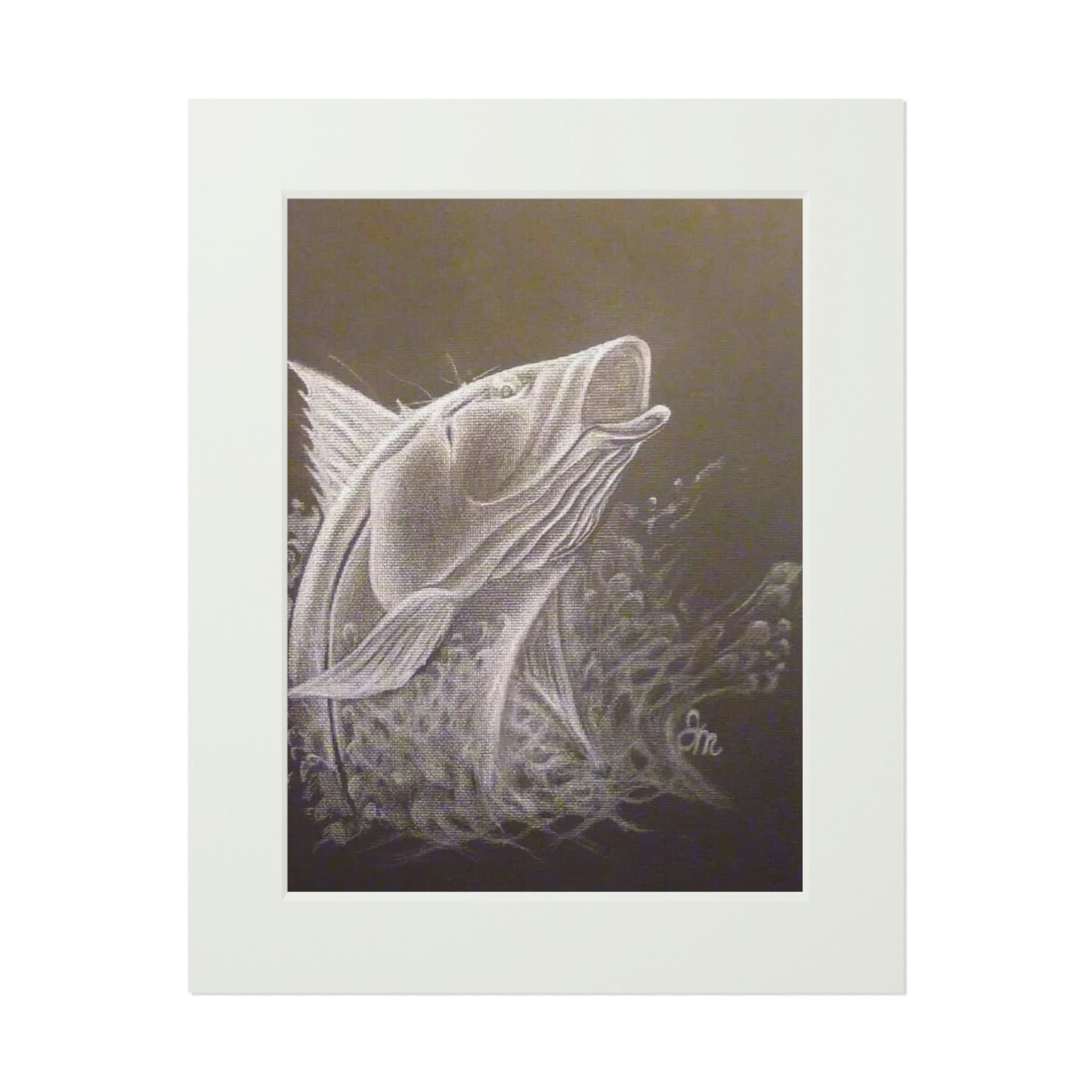Tail-Whip Snook Attack Fine Art Prints (Passepartout Paper Frame)