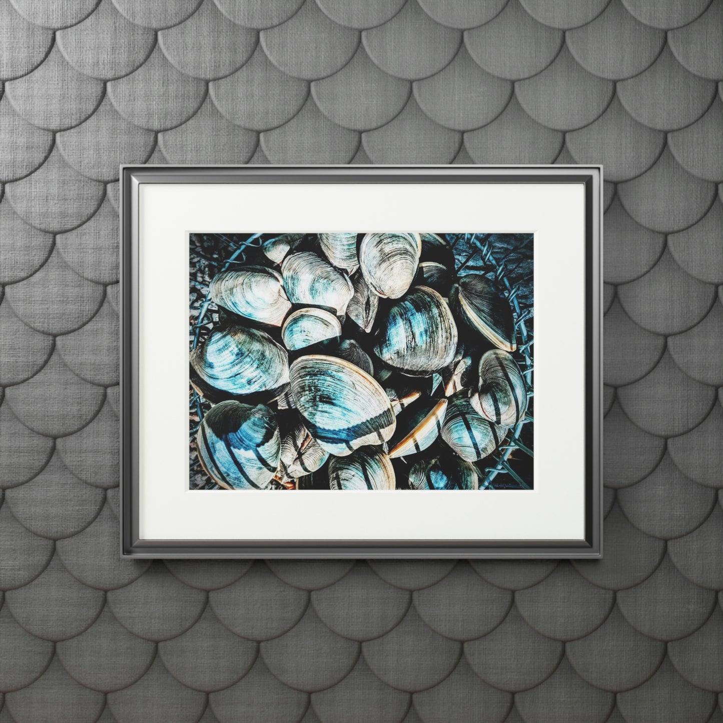 Tail-Whip Quahog Peck Fine Art Prints (Passepartout Paper Frame)