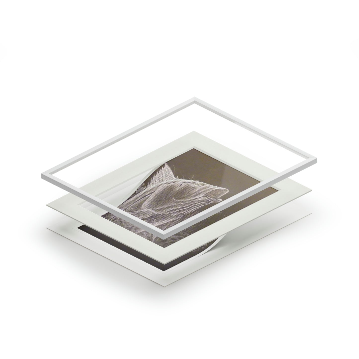 Tail-Whip Snook Attack Fine Art Prints (Passepartout Paper Frame)