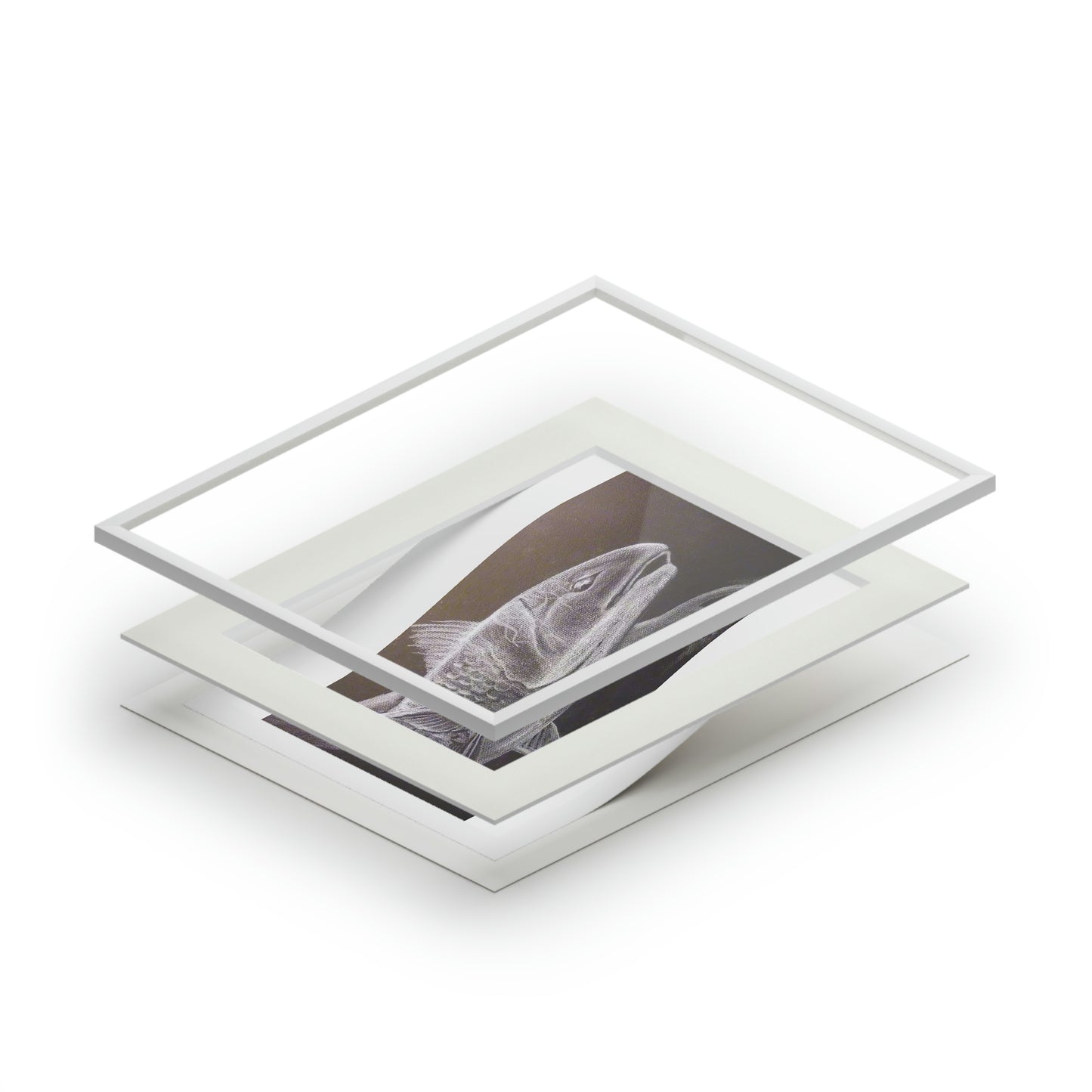 Tail Whip Redfish Fine Art Prints (Passepartout Paper Frame)